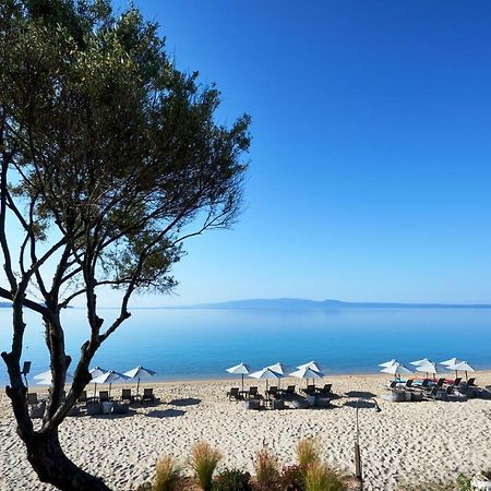 Develikia Private Villas Villa-1 Ierissos מראה חיצוני תמונה